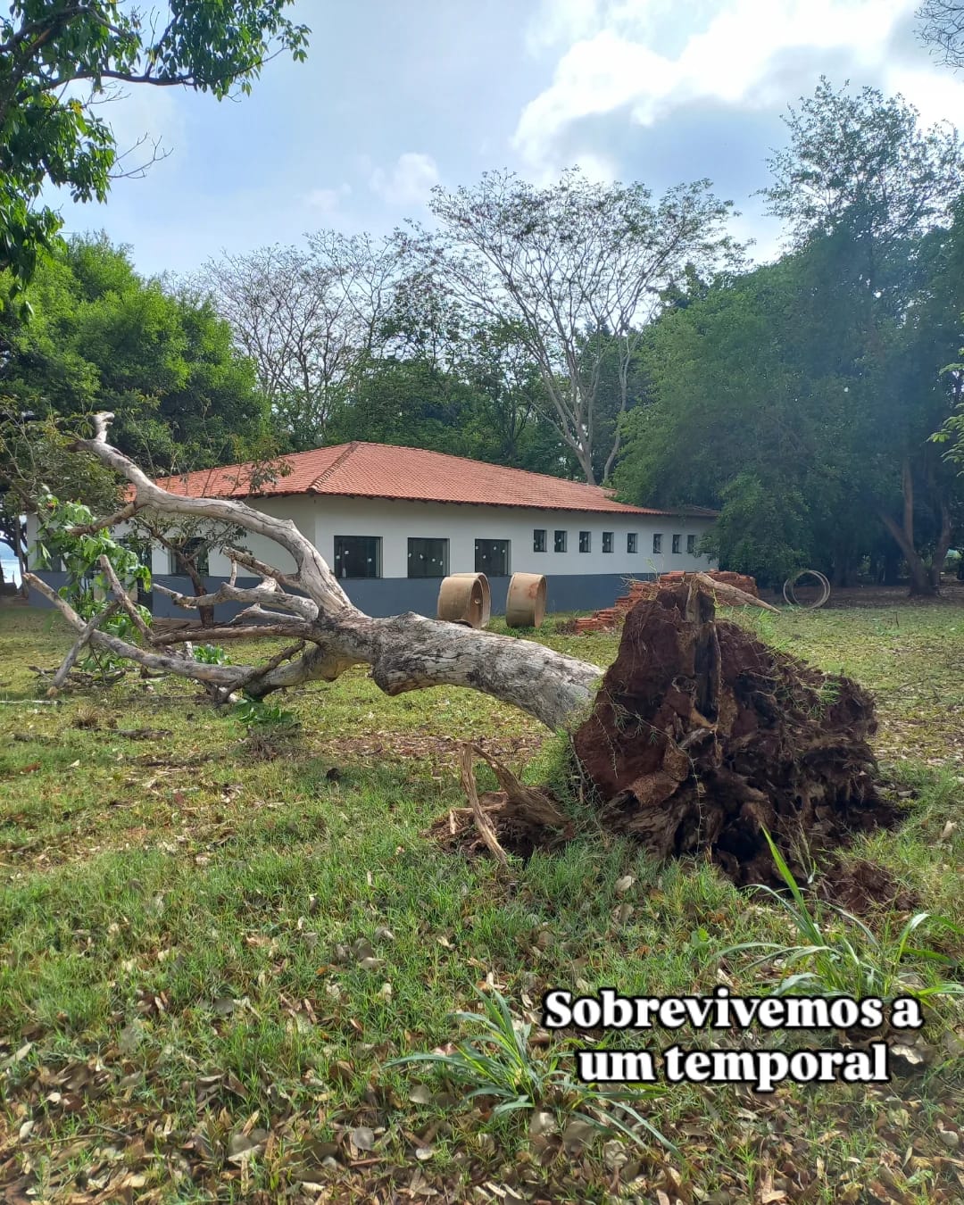 Bússola Criativa — Foto 2
